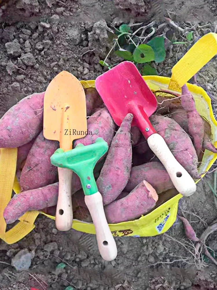 ~gardening tools Succulent potted plants Planting shovels Kindergarten planting flowers Small shovels Dig sand and catch the sea