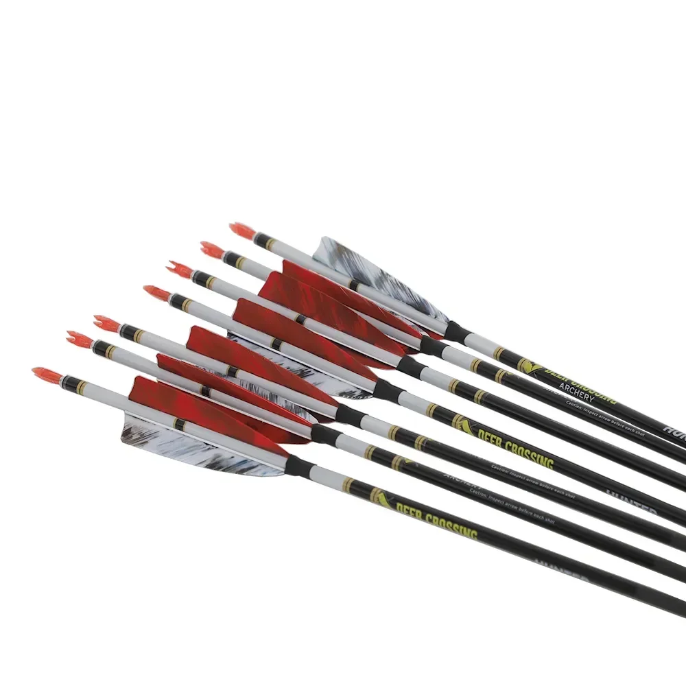 6.2 Carbon Arrows – Spine 300–800 4