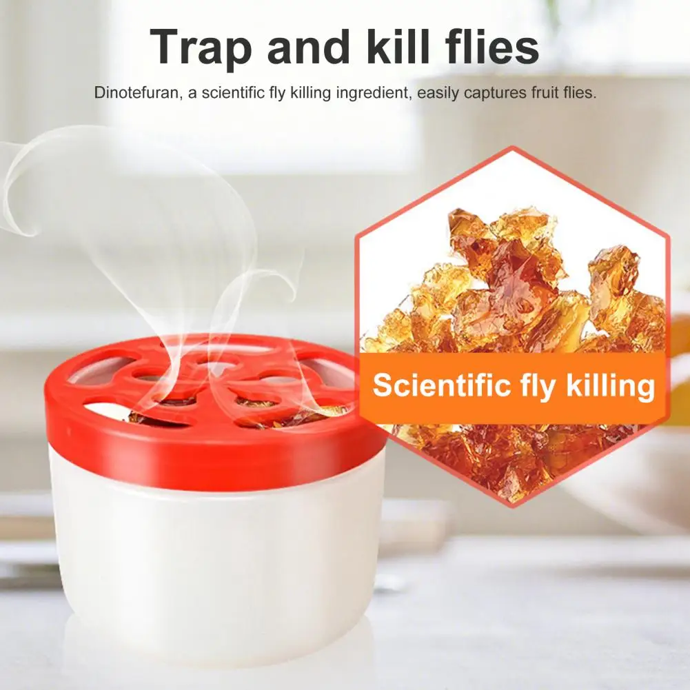 Hanging Bee Trap Scarafaggio Killing Bait Dimensioni Compatte Indoor Fly Trap Riutilizzabile Scarafaggio Fruit Fly Killing Bait Colore Brillante