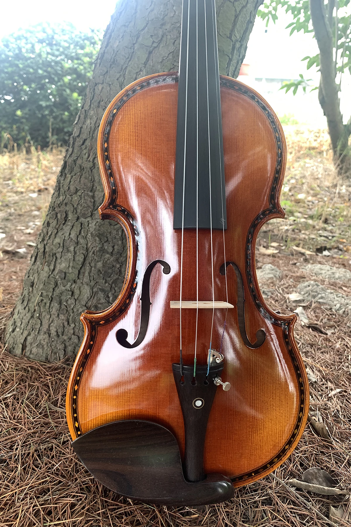 Violin 4/4 Flamed Violin With Shell Mosaic Fully Hand-made Strong Tone Free Case And Bow acoustic violin,violin accessories