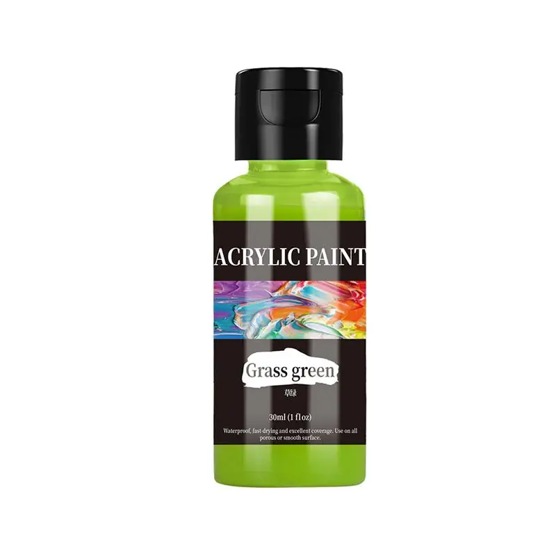 Rich 24-Color Acrylic Paint Set for Fabric and Leather Painting