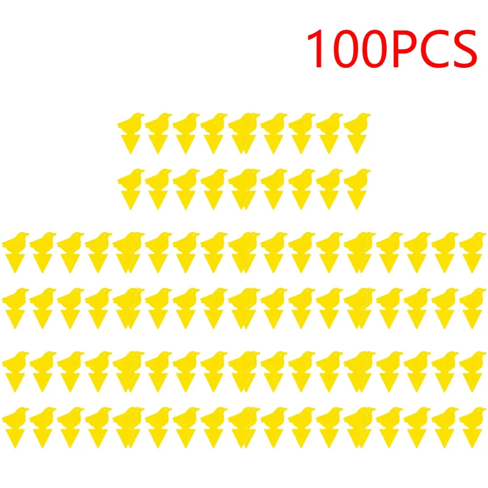 Birds-100pcs