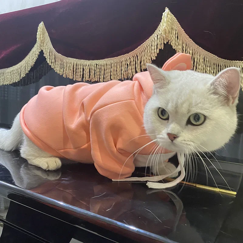 Spring Autumn Cat Puppy Clothing Solid Sweet Pet Costume