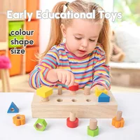 Wooden Nut Bolts Building Blocks Color Shape Sorter Toys Kids Montessori Matching Game Education Sensory Toys Fine Motor Skills 2
