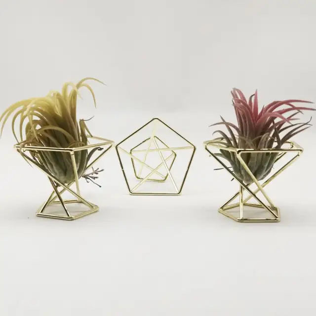 3 db Compact Tillandsia Display Állvány Korrózióellenes Páfrány Növényi Innovatív Széles Körben Használja A Légi Növények Tartó Kerti Dekorációját - Image 2