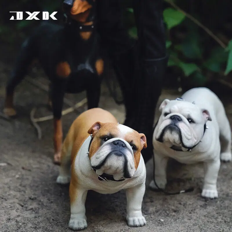 

JXK 1/3 Bulldog Model Animal Figure Pet Dog Realistic Decoration Funny Scene Soldier Accessory Kids Gift Toy Photography Props