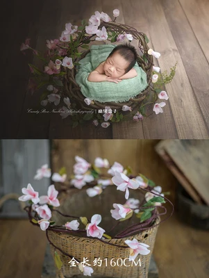 Newborn Photography Prop Basket Stuffer Simulated Green Plants Accessorie Christmas Daisy Rattan Strip Vine Studio Shooting Flow cheap newborn photography near me Baby Souvenirs