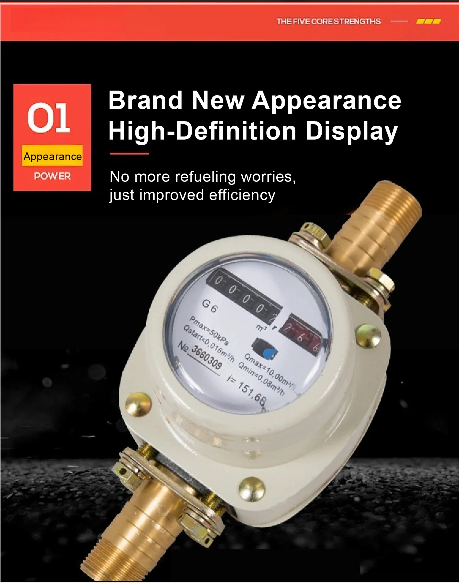 High Precision Roots Gas Flow Meter Mechanical Natural Gas Oxygen Biogas LPG Flo
