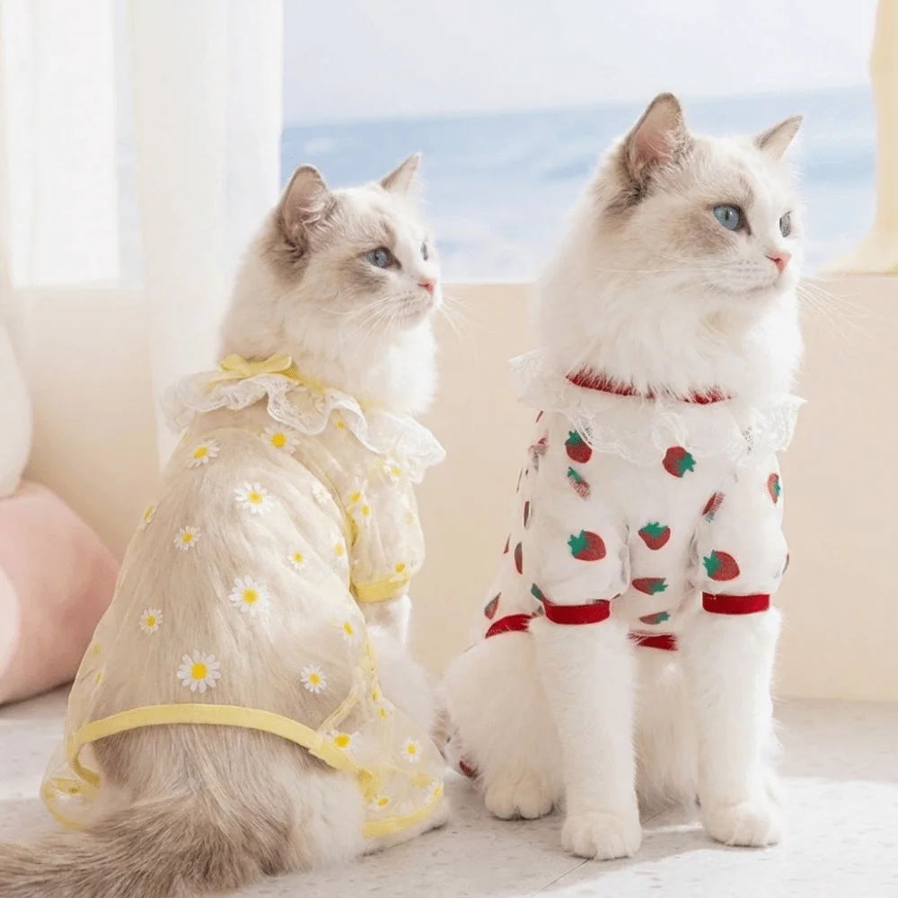대비색 스티치 애완동물 점프슈트 딸기 패턴 통기성 메쉬 강아지 옷 가벼운 자외선 차단 네발 팬츠 여름