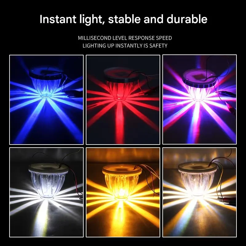Dual Color Watermelon Lights 5