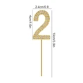 B13-Gold 2