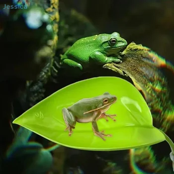 Leaf Suction Cup Reptile Terrace 1
