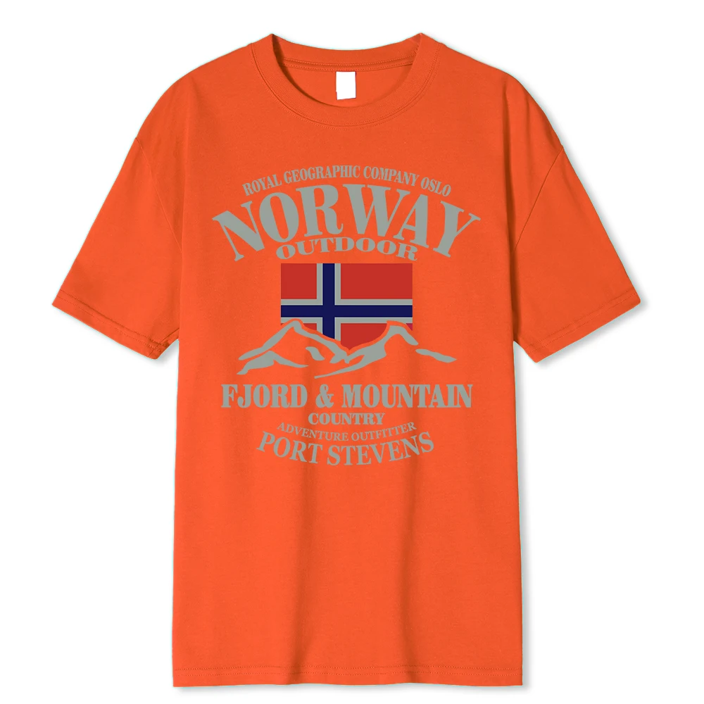 Vară Norvegia pavilion fiord munte T nebun hip hop bărbați tricou bumbac guler rotund Plus dimensiunea mânecă scurtă amuzant tricouri masculine_voghion.com