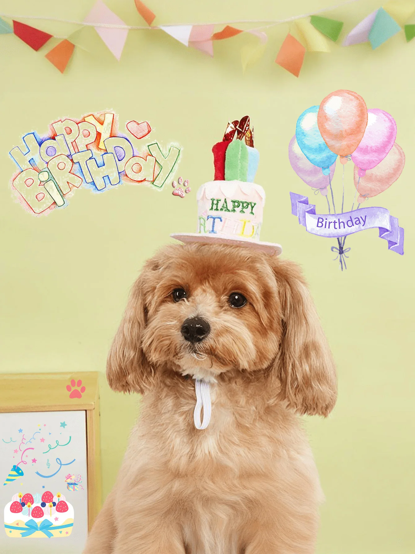 1/2 사이즈 애완동물 생일 모자, 조절 가능한 강아지 모자와 화려한 캔들, 고양이와 강아지 생일 파티 의상