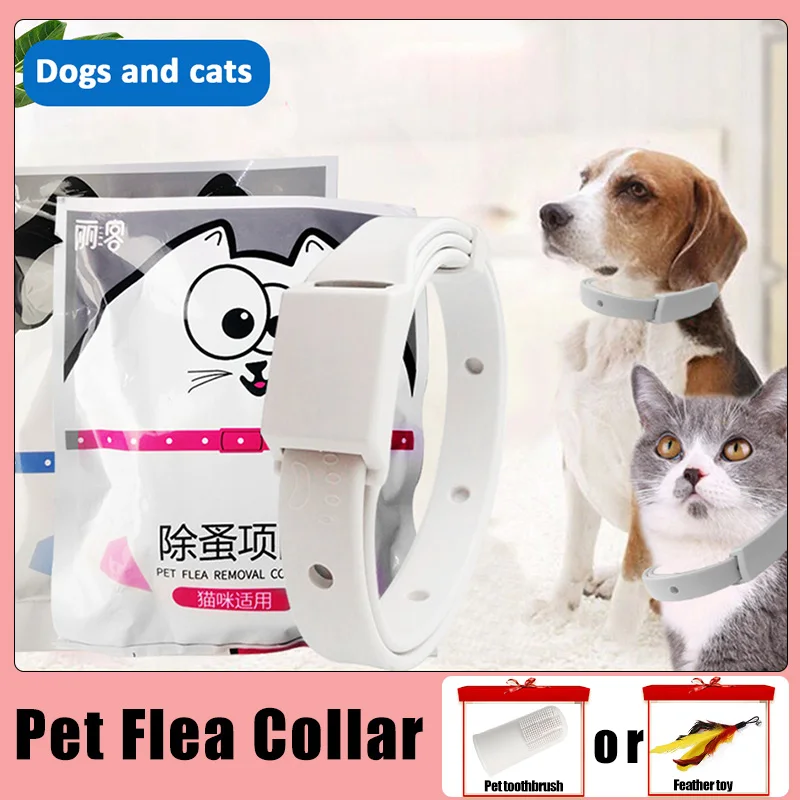 

Anti Flea Tick Collar For Cat Small Dog 8Month Protection Antiparasitic Adjustable Puppy Kitten Collar Breakaway Pet Accessories