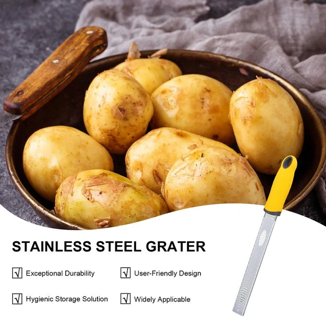 Stainless Steel Mini Cheese Nutmeg Ginger Veg Grater with Storage