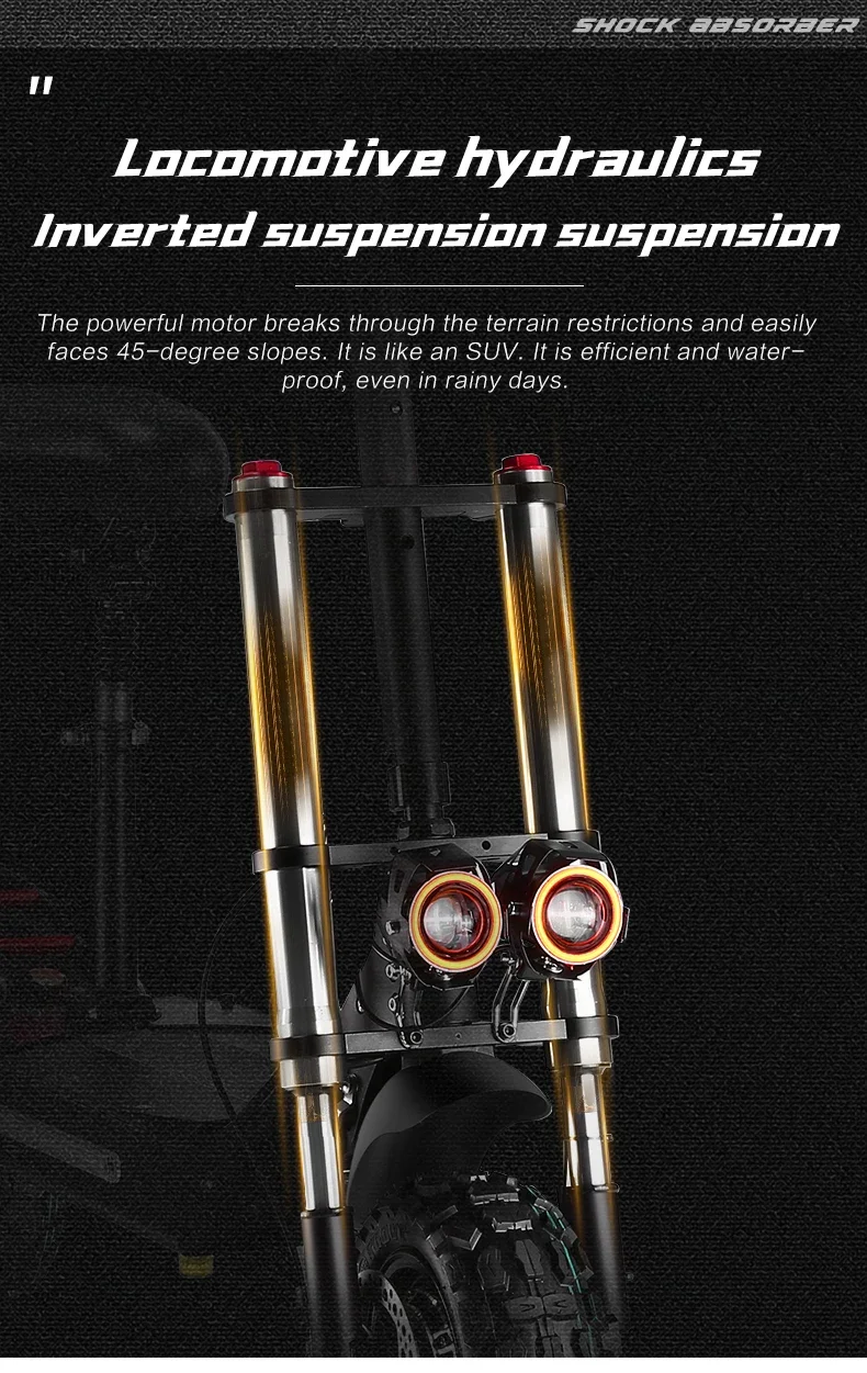 11-inch Explosion-Proof Tire Urban Off-road Electric Skateboard 60V33AH Battery 6000W Motor Dual Electric Scooter Load 400KG