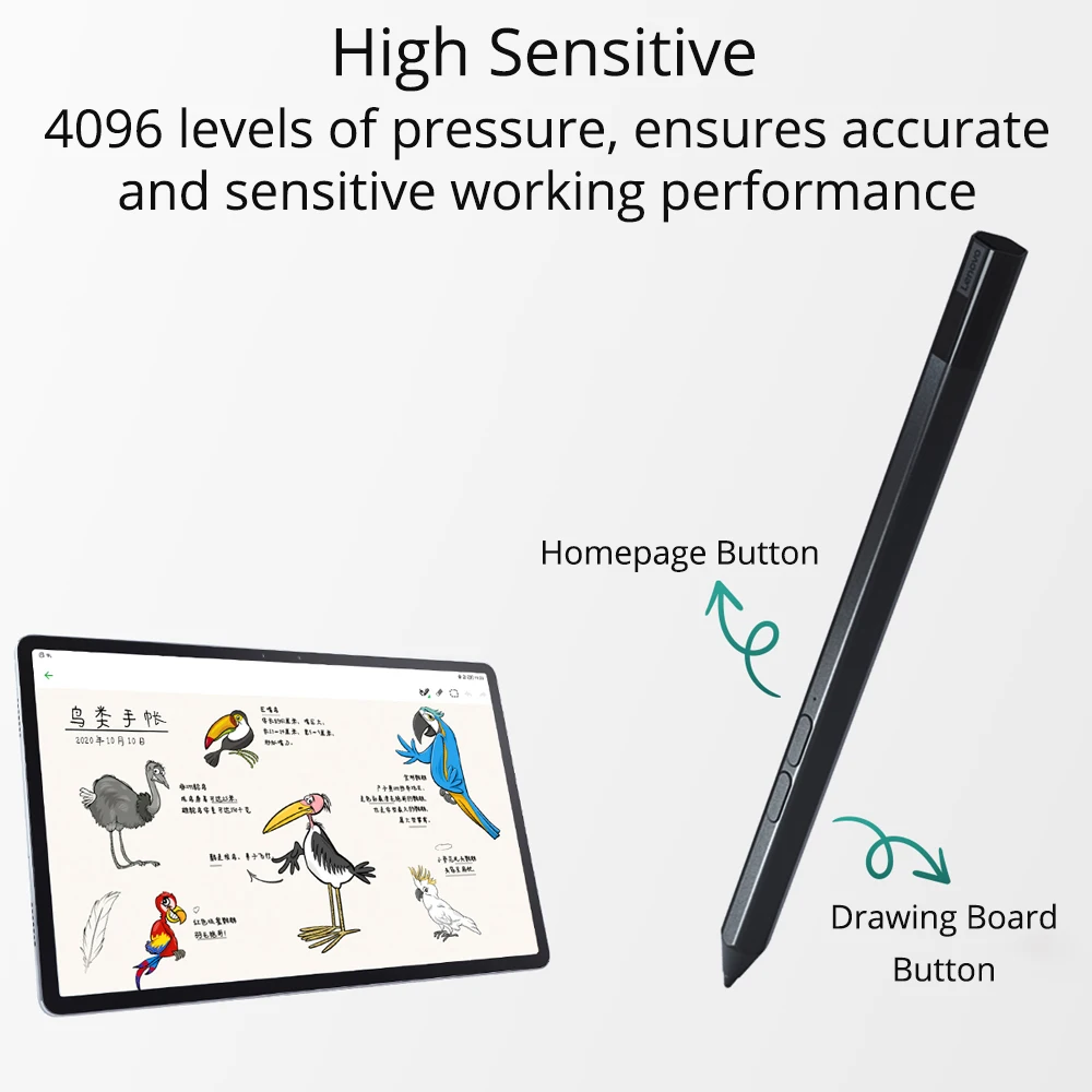   ŸϷ   P11/ P11 Pro / Xiaoxin е P11 ÷ J607 Ȱ ġ   2