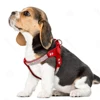 Soft Suede Dog Harness Bling Rhinestone Harness Diamond Leather Pet Harnesses for Small Medium Dogs Cats Red Pink Black 5