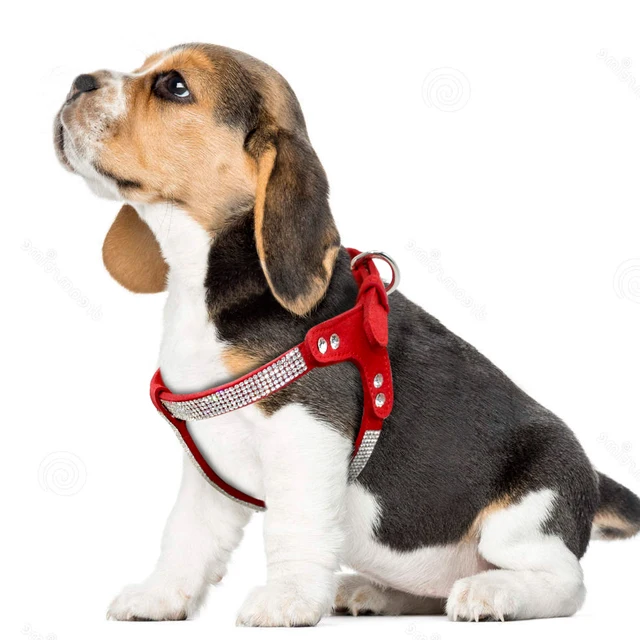 Soft Suede Dog Harness Bling Rhinestone Harness Diamond Leather Pet Harnesses for Small Medium Dogs Cats Red Pink Black 5