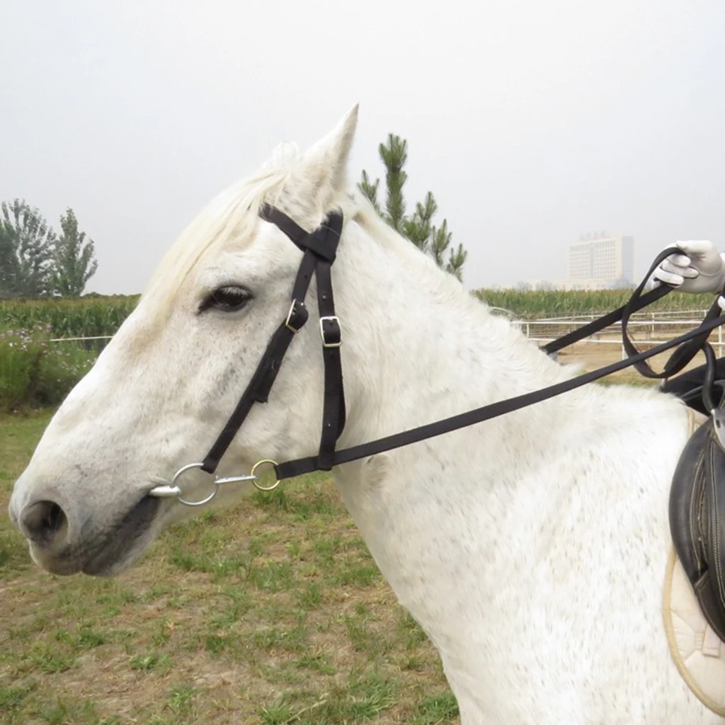 Horse Bridle Horse Rein Headstall Thickened Halter Equestrian Accessories Removable Snaffle Nylon Webbing Horse Riding Equipment