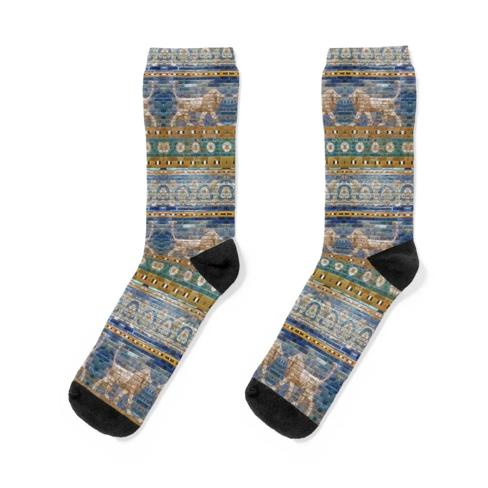 

Lions from Babylon Socks tennis professional running Men Socks Women's
