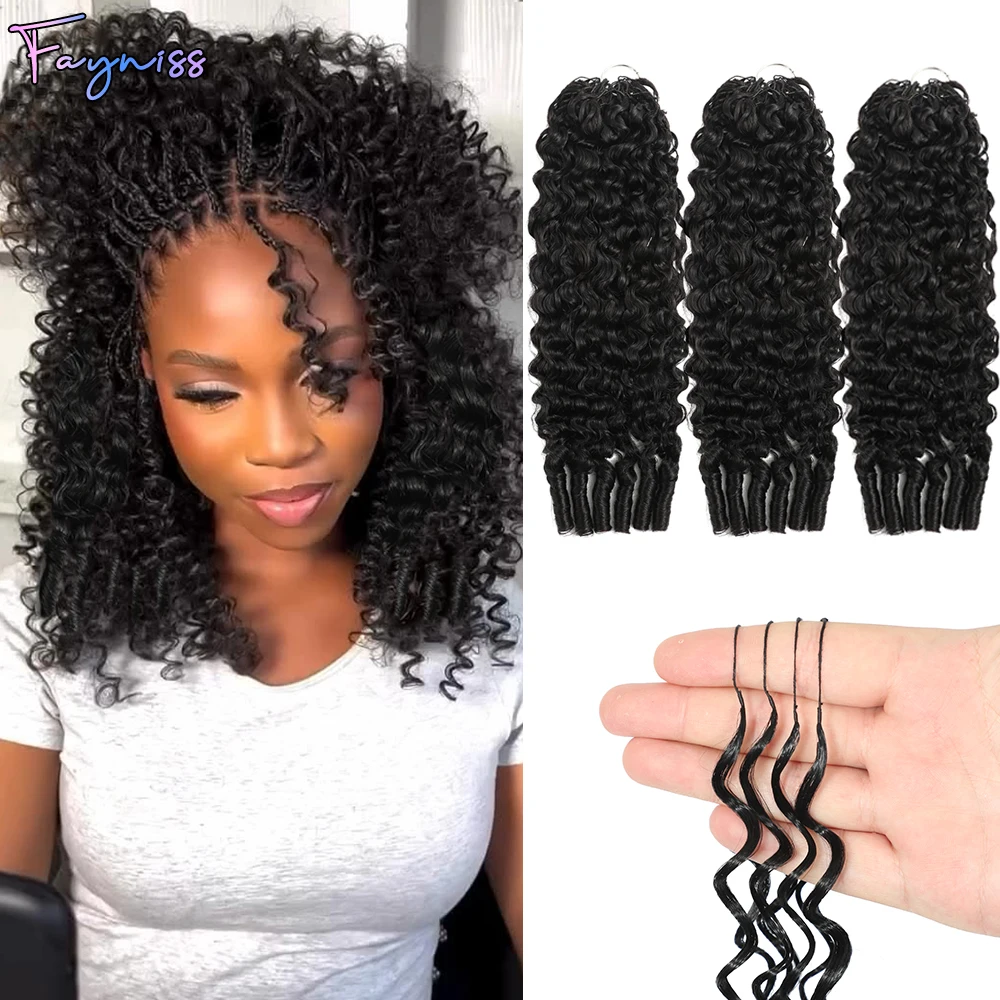 Burmese Curly