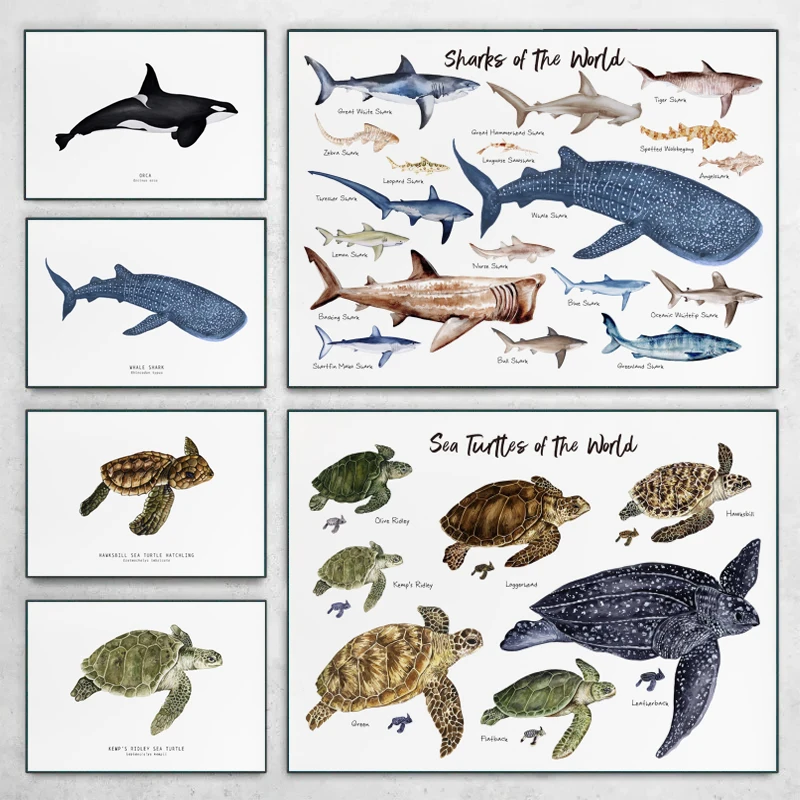 Marine Life Ocean Animals Canvas Art Poster - Whales, Sharks, and Turtles