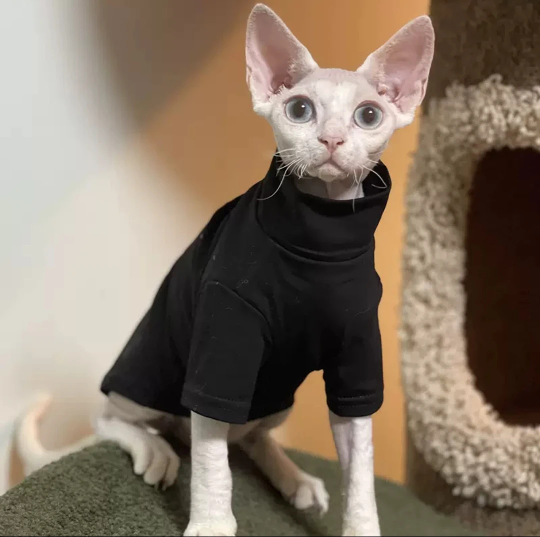 Piñón Reorganizar Sentimental DUOMASUMI trajes de gato Sphynx para bebé, ropa gruesa de algodón suave sin  pelo para gato, ropa de gatito, Cornish, Alex, Oufits para ropa de eshinx|Ropa  para gatos| - AliExpress