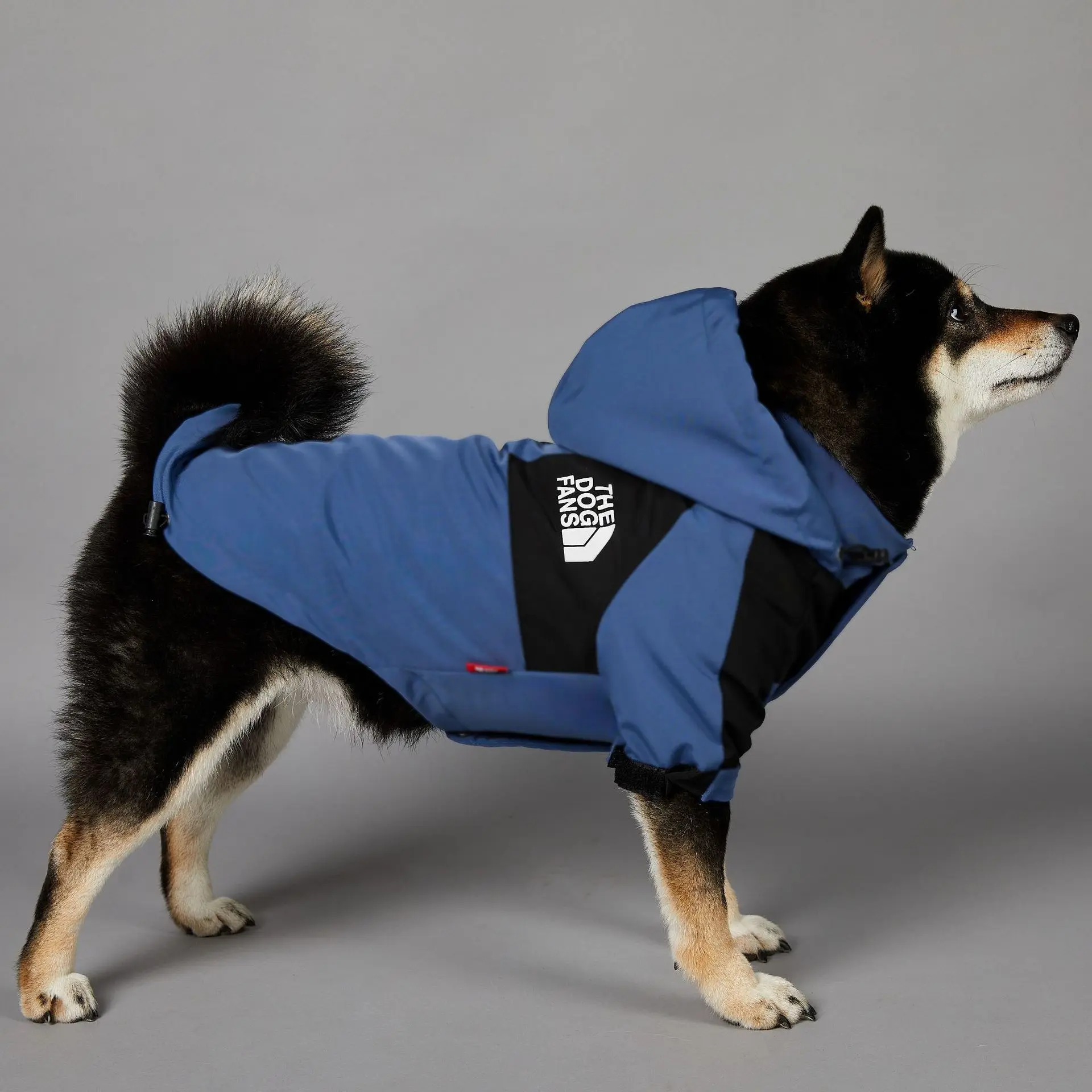 Windproof and Rainproof Dog Large Dog Raincoat Blue Pet Charge Coat dog raincoat