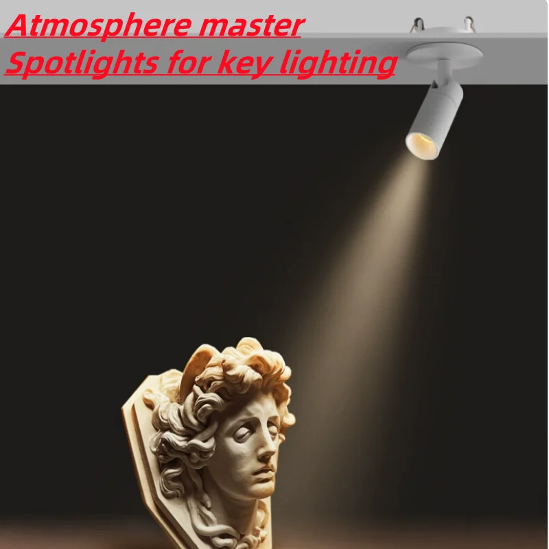 Small Angle spotlight 3&deg;8&deg;15&deg;24&deg;36&deg; adjustable Angle spotlight embedded household background commercial painting wall wash light