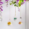 193B Light Bulb Shaped Gift Idea for Succulent Moss Tillandsias Air Plants Kitchen 3