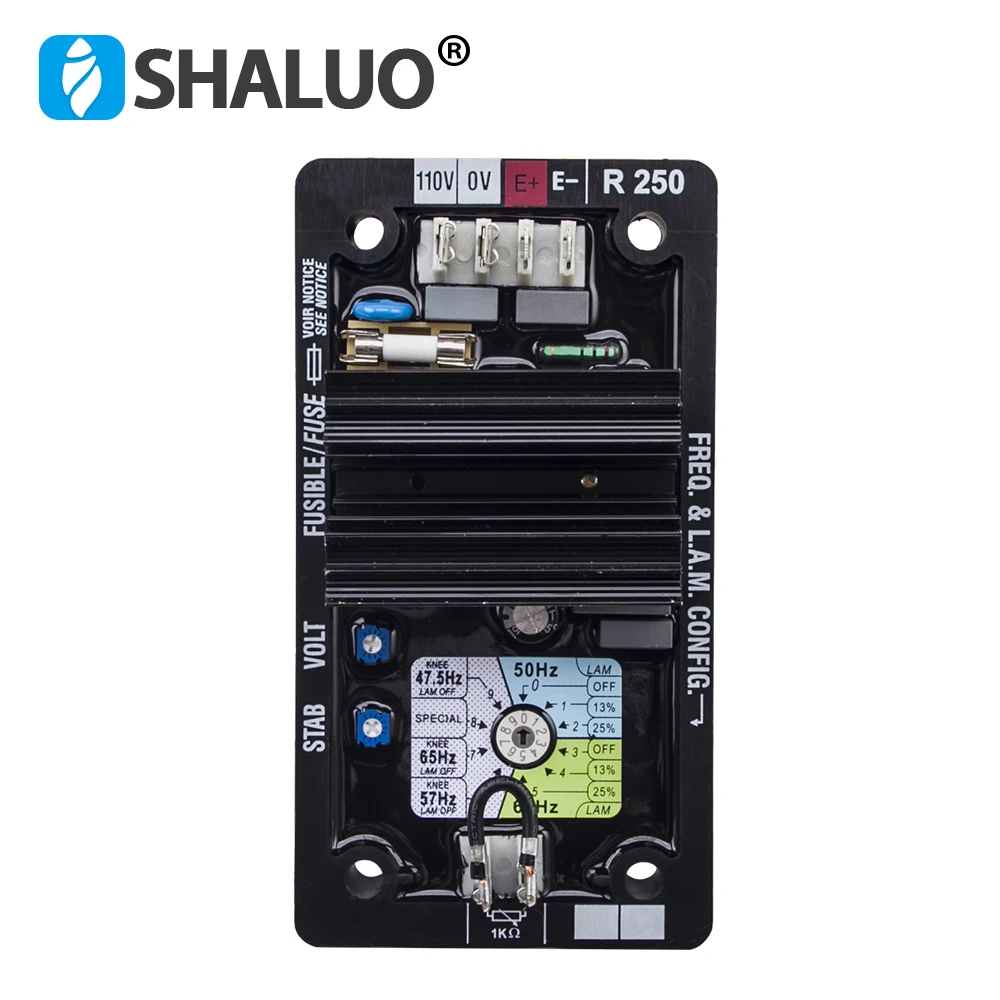 Regolatore Di Tensione Del Generatore Automatico Del Regolatore Di - Foto 10