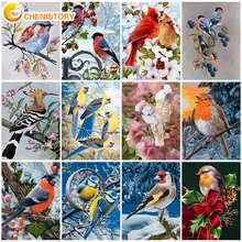 

CHENISTORY Oil Pictures By Number Birds Animal Coloring Drawing HandPainted With Frame Acrylic Paint Painting By Numbers DIY Kit