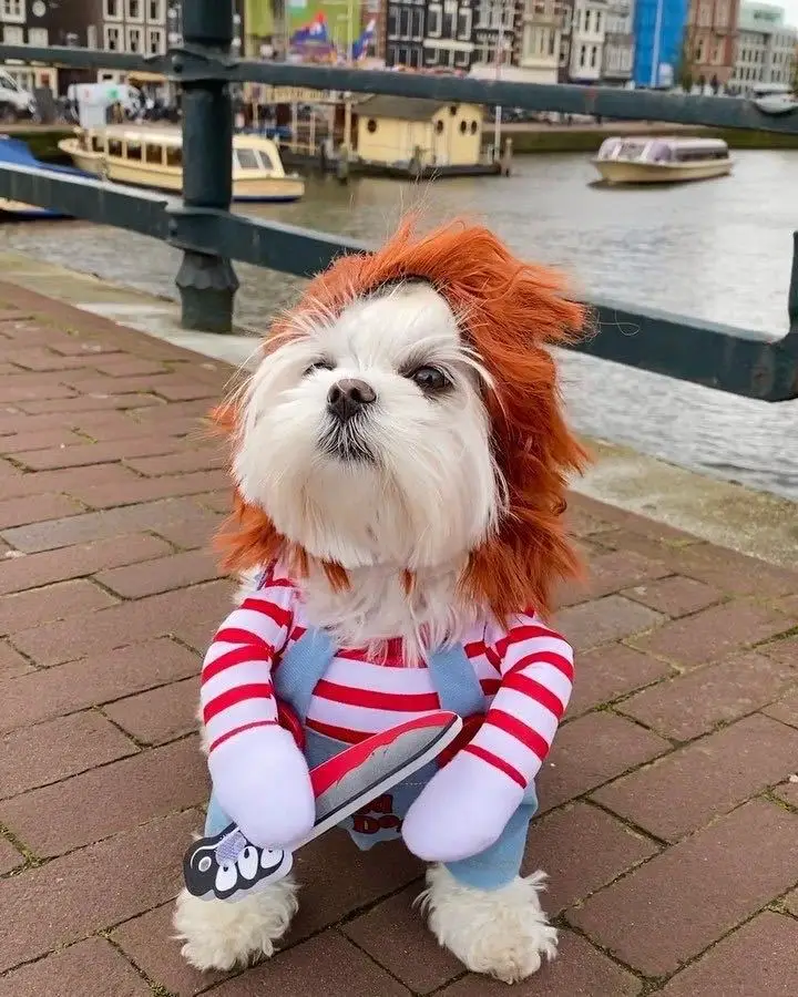 

Pet Deadly Doll Dog Costume Cute Dog Cosplay Halloween Christmas Funny Dog Clothes Party Costume for Small Medium Large Dogs