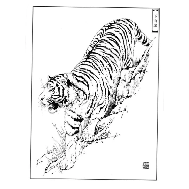 Tiger Line Drawing Manuscript Chinese Traditional Paintings Meticulous  Painting Line Draft Copy Animal Line Draft Practice