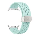 Silver-mint
