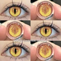SPIRIT EYE