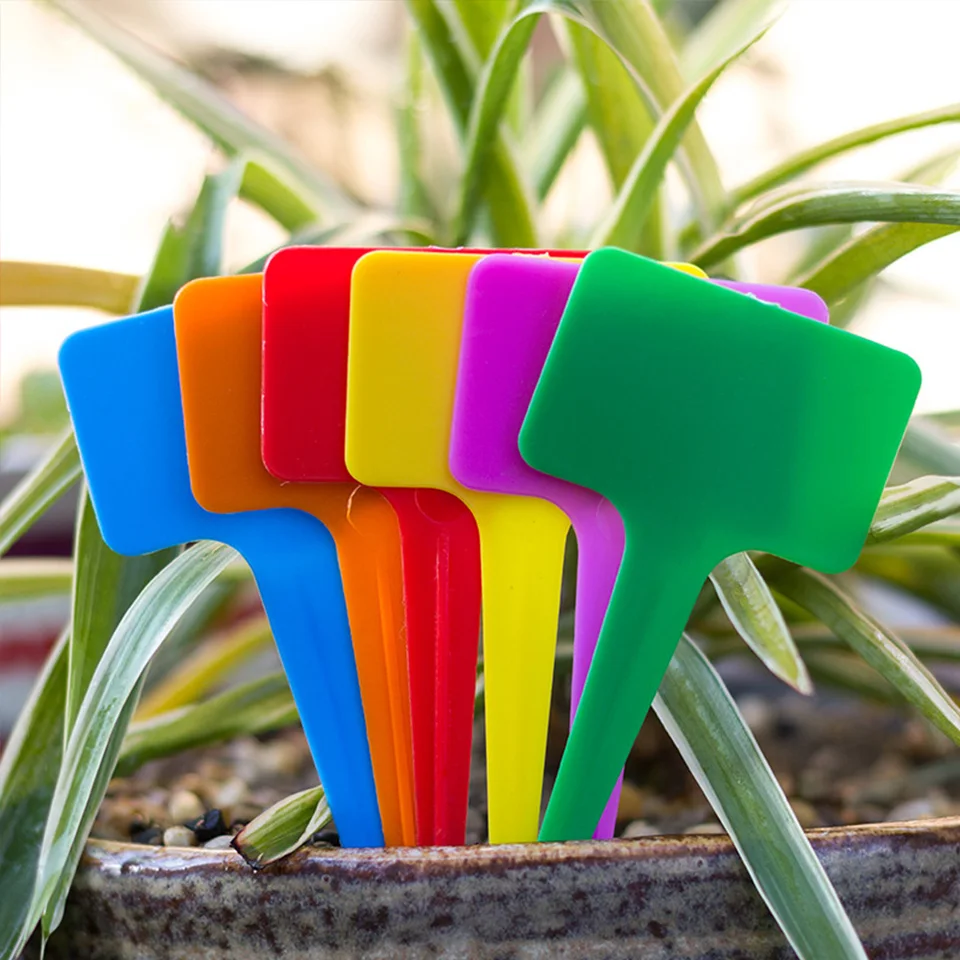 100 Etichette Da Giardino Impermeabili - Segnapianti A Forma Di T Per Orto E Piante - Foto 11