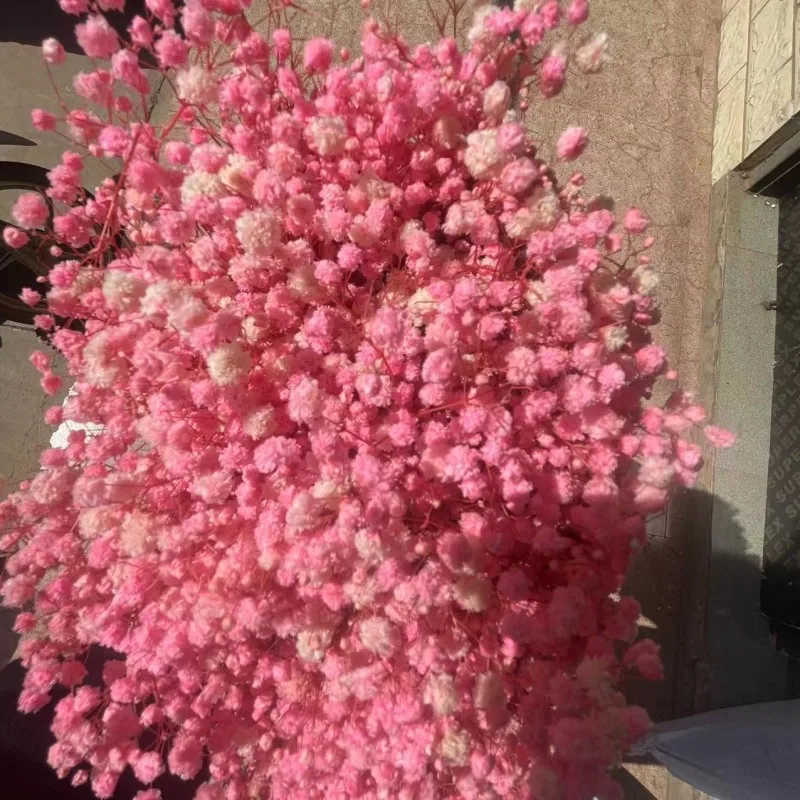 

100g Dried Baby Breath Flowers Bouquets Colorful Natural Dry Flower Garden Decoration Outdoor Wedding Supplies Artificial Flower