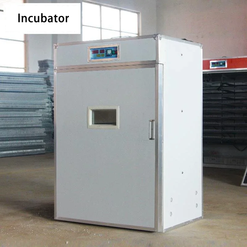 Egg Incubator Fully Automatic Household Small Incubator Machine Constant Temperature Intelligent Incubator  Equipment 5