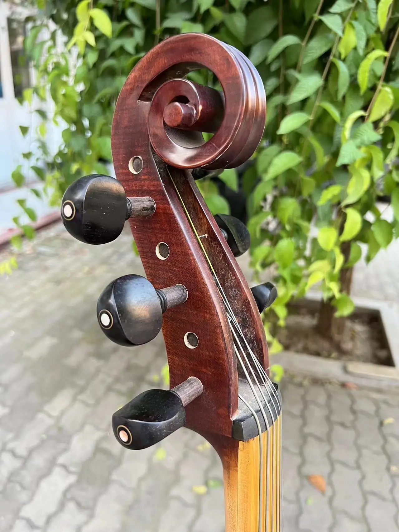 Baroque style SONG maestro 6 strings 25"viola da gamba whole flamed back #14159