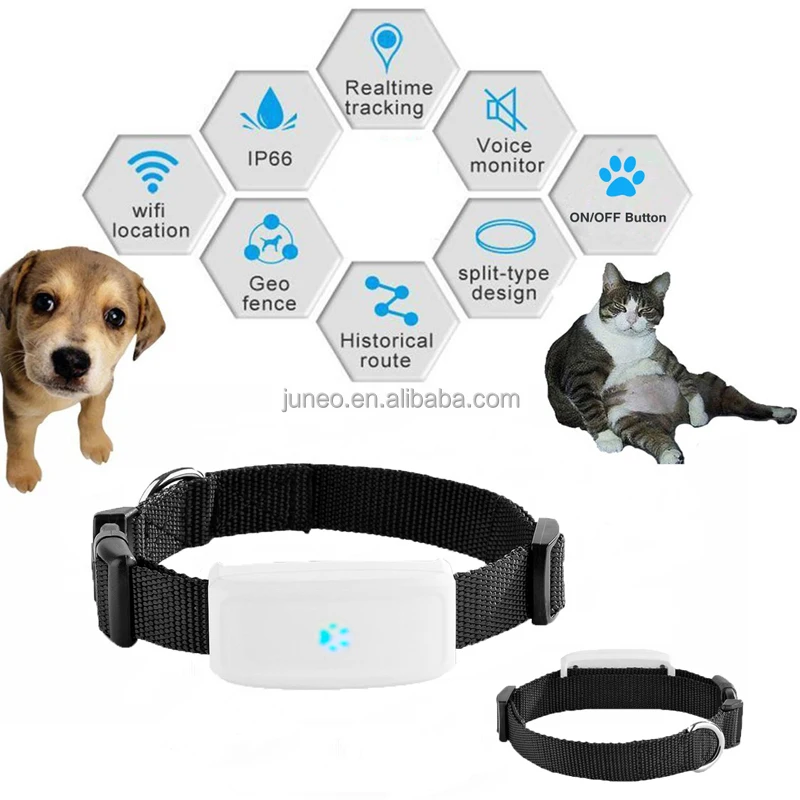 Gps Chips For Pet