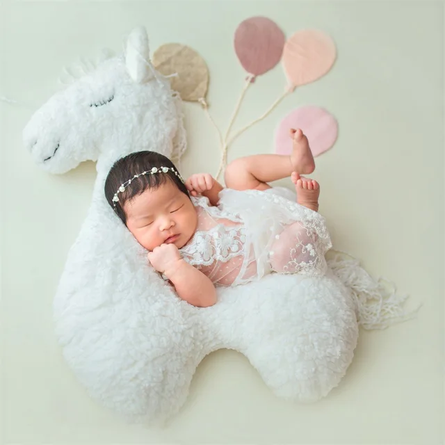 Newborn Baby Photography Props: Auxiliary Prop Pony Pillows