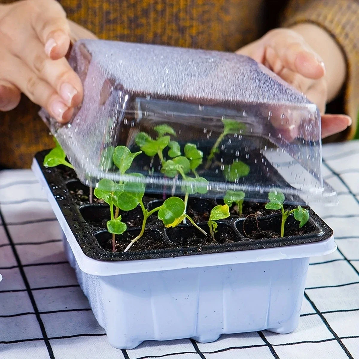 Plastic Seedling Box With 12 Holes 3/6pcs With Sowing And Hole Tray seed starter tray,seedling tray