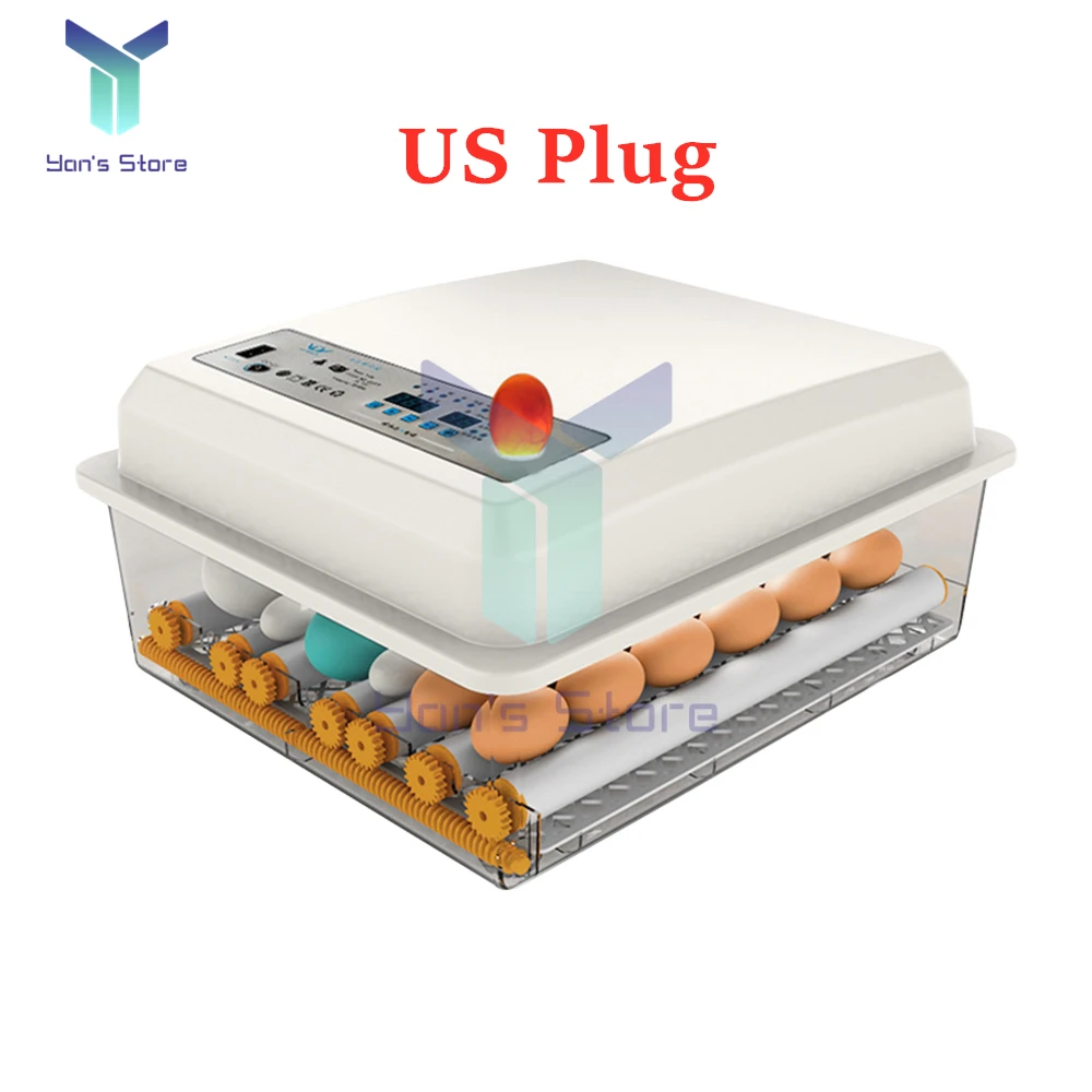 US Plug
