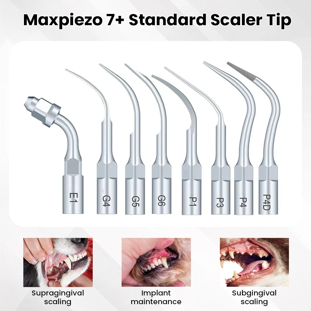 Veterinary Dental Ultrasonic Scaler veterinary Dentistry Machine Equiment