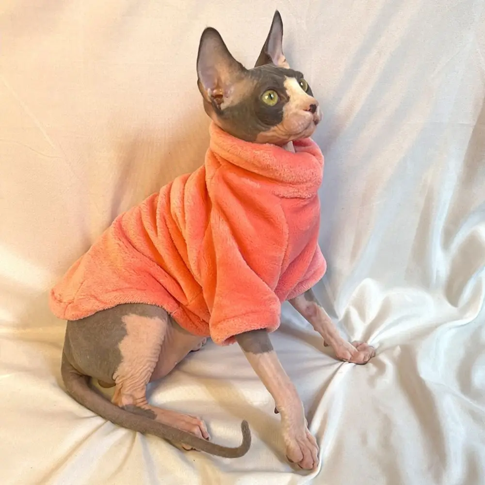 터틀넥 털없는 고양이 스웨터 따뜻하고 편안한 고양이 스웨트셔츠 두꺼운 두 다리 강아지 풀오버 셔츠 가을 겨울용