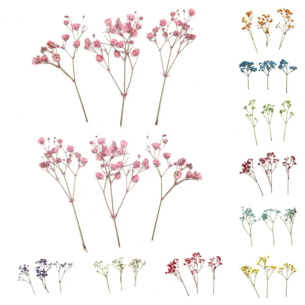 Affascinanti mazzi di fiori secchi portatile Gypsophila essiccato Bouquet da sposa Vivid Colorful Baby Breath Flowers for Home