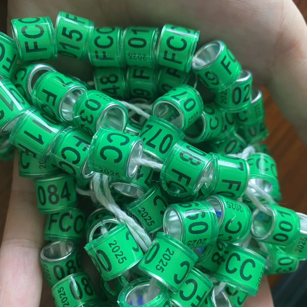 2026 8MM 비둘기 반지 잔디 녹색 FCC 001-100 큰 글자